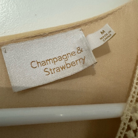 Boutique- Champagne & Strawberry Dress - Picture 4 of 5